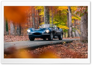 1957 Jaguar XKSS Classic Car, Autumn 4K UHD Wallpaper for Widescreen and UltraWide Desktop, UltraHD TV, Smartphone, Tablet