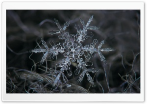 Amazing Real Snowflake Macro 4K UHD Wallpaper for Widescreen and UltraWide Desktop, UltraHD TV, Smartphone, Tablet
