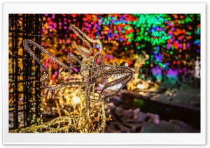 Colourful 4K UHD Wallpaper for Widescreen and UltraWide Desktop, UltraHD TV, Smartphone, Tablet
