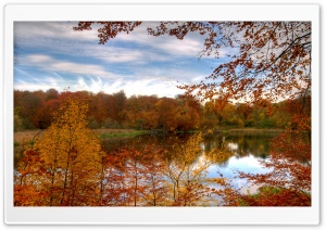 Colourful Autumn Forest Reflecting In Calm Lake 4K UHD Wallpaper for Widescreen and UltraWide Desktop, UltraHD TV, Smartphone, Tablet