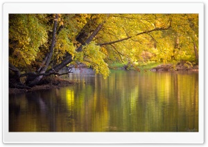 Colourful Water 4K UHD Wallpaper for Widescreen and UltraWide Desktop, UltraHD TV, Smartphone, Tablet