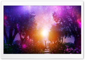 Enchanted forest 4K UHD Wallpaper for Widescreen and UltraWide Desktop, UltraHD TV, Smartphone, Tablet