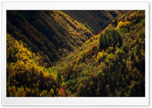 Georgia Fall Colors 4K UHD Wallpaper for Widescreen and UltraWide Desktop, UltraHD TV, Smartphone, Tablet
