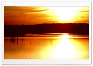Gold Sunset Sky 10 4K UHD Wallpaper for Widescreen and UltraWide Desktop, UltraHD TV, Smartphone, Tablet