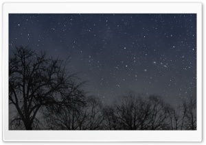 Night Tree 4K UHD Wallpaper for Widescreen and UltraWide Desktop, UltraHD TV, Smartphone, Tablet