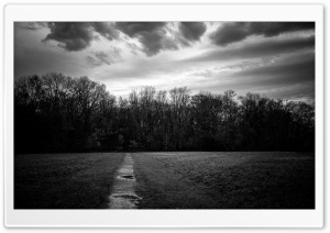 Quite Path 4K UHD Wallpaper for Widescreen and UltraWide Desktop, UltraHD TV, Smartphone, Tablet