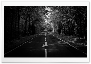 Straight Road Through the Woods 4K UHD Wallpaper for Widescreen and UltraWide Desktop, UltraHD TV, Smartphone, Tablet