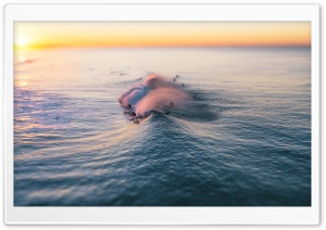Surfing, Wave, Pacific Ocean, California 4K UHD Wallpaper for Widescreen and UltraWide Desktop, UltraHD TV, Smartphone, Tablet