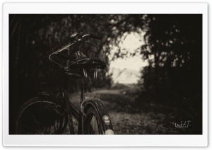The Bicycle 4K UHD Wallpaper for Widescreen and UltraWide Desktop, UltraHD TV, Smartphone, Tablet