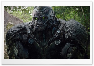 Transformers Rise of the Beasts Movie - Gorilla 4K UHD Wallpaper for Widescreen and UltraWide Desktop, UltraHD TV, Smartphone, Tablet