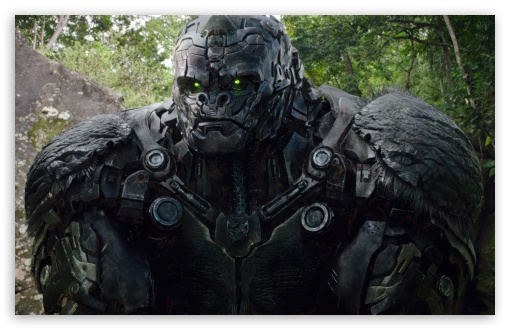 Transformers Rise of the Beasts Movie - Gorilla UltraHD Wallpaper for UHD 16:9 ; HD 16:9 ; UltraWide 21:9 24:10 ; Widescreen 16:10 5:3 ; Fullscreen 4:3 5:4 3:2 ; Tablet 1:1 ; Mobile 9:16 2:3 3:5 3:4 ;